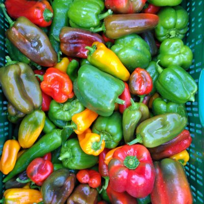 signal-2021-04-20-174603 (1)