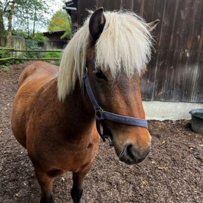 Die 11-jährige Kylja