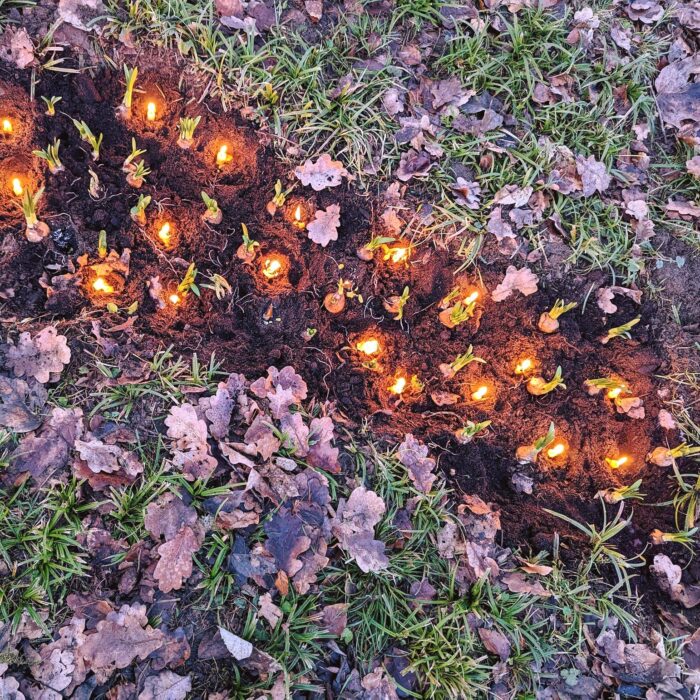 417431854_407045078565657_8284555548748549403_n