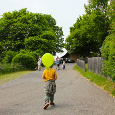 fd81ad97-6381-4c0d-a74f-6797dc8883d1